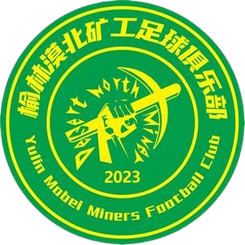 渭南西北青年人