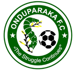 帕迪哈黑天使