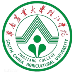 廣東外語外貿(mào)大學二隊