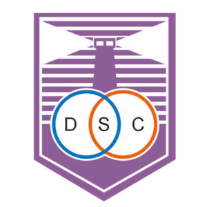 阿爾比恩后備隊(duì)